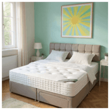 Everlast Ortho Comfort Mattress