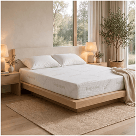 Reflex Memory Foam Mattress Anti Bed Bug